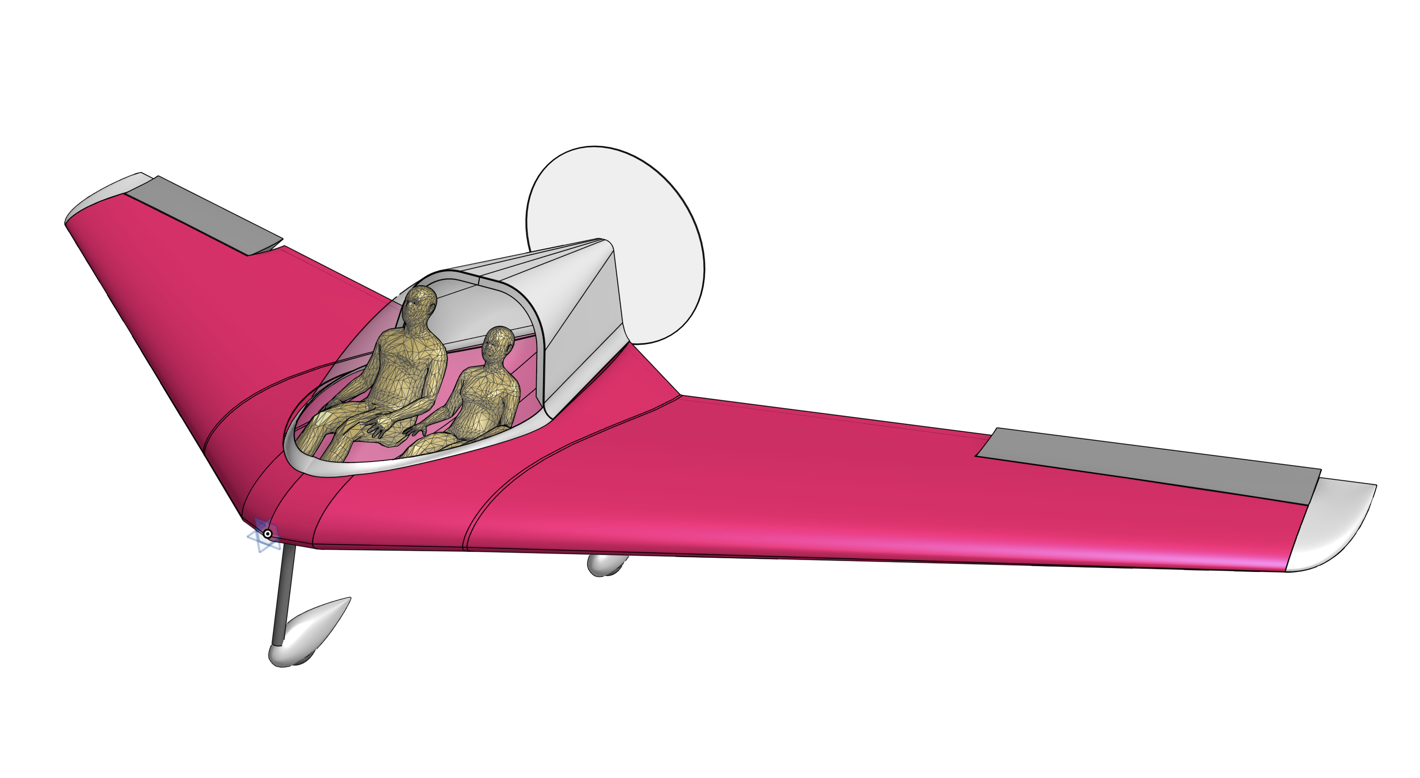 Project e-wing