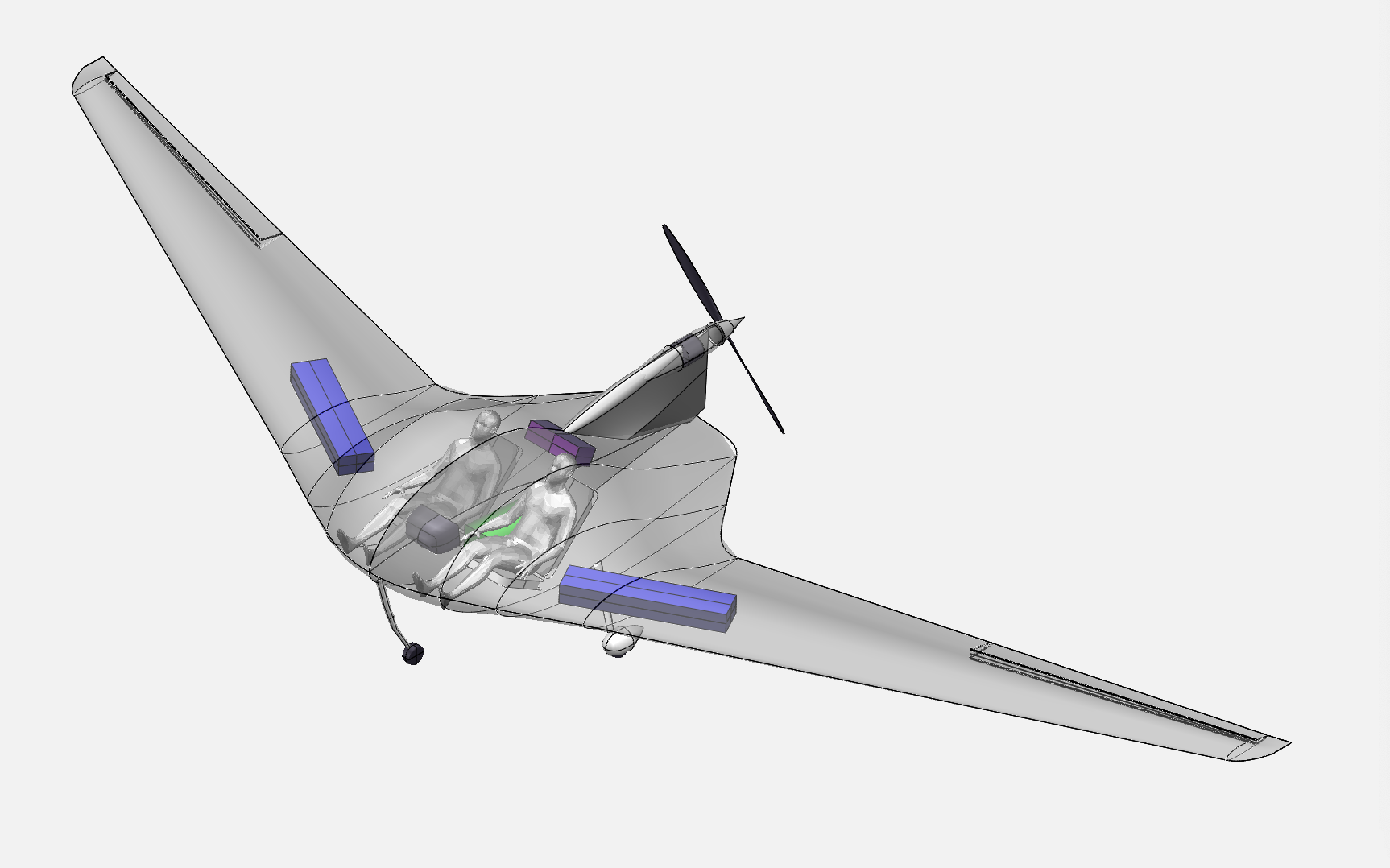 Project e-wing